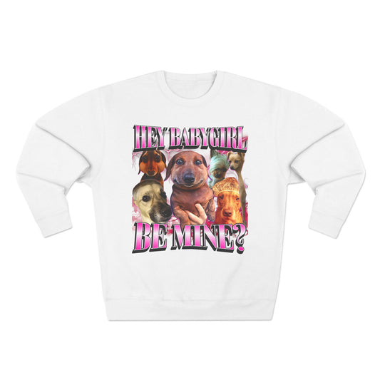 Hey Babygirl, Be Mine? Dog Meme Sweatshirt, Silly Romantic Unisex Jumper